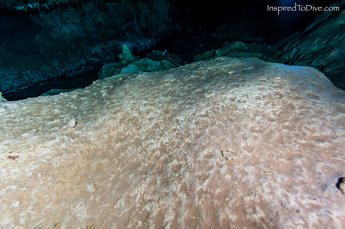 The floor of a submerged cave tunnel in Mexico is covered with overlapping footprints preserved in solidified mud.