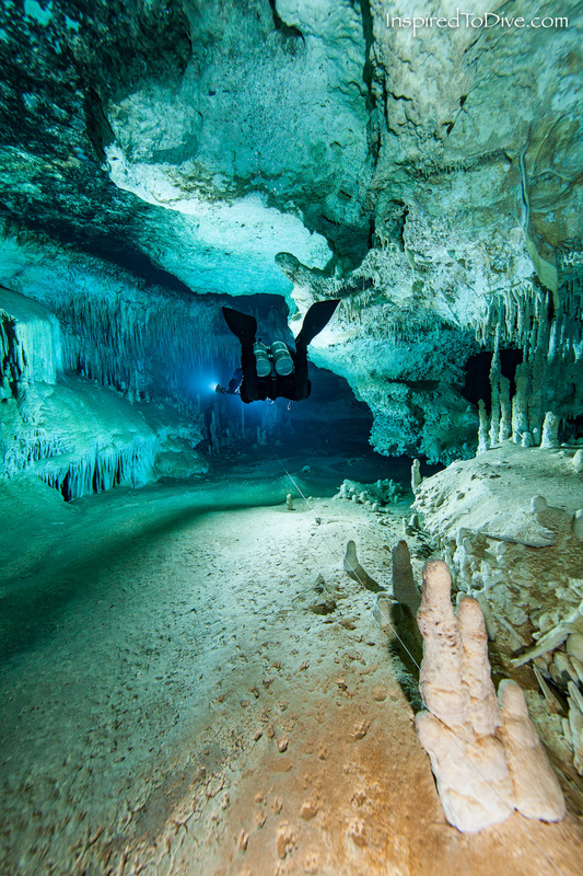 Trails of animal footprints on the floor of an underwater cave in Mexico were discovered by cave divers