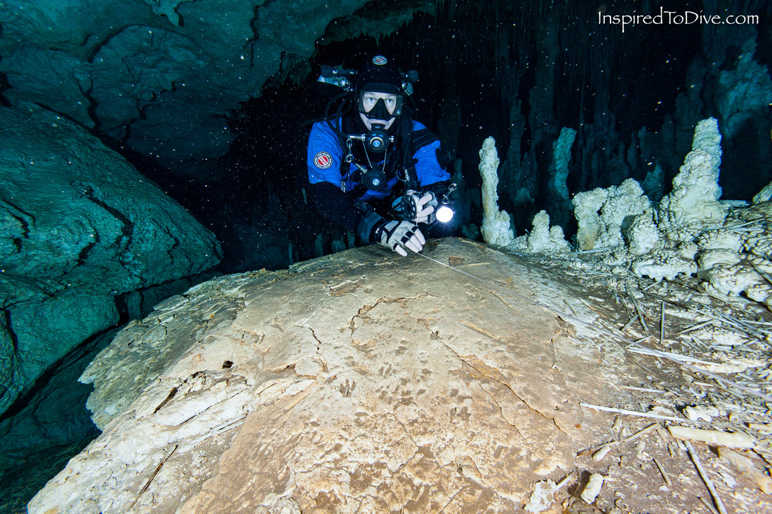 Cave diver with animal footprints underwater in a cave in Mexico