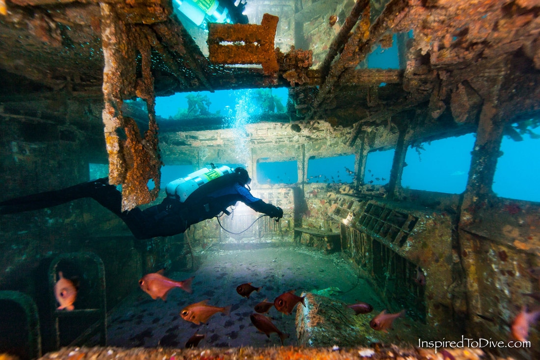 Bridge of the ex-HMNZS Canterbury Wreck in the Bay of Islands New Zealand