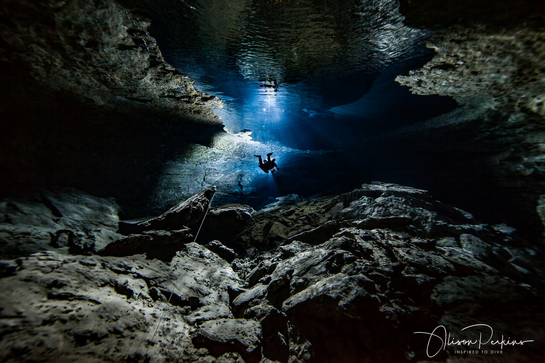 Cave diver Cameron Russo below Lake Ayre in Tank Cave, Mt Gambier, Australia