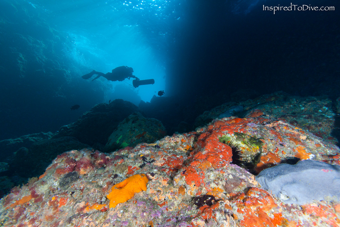 DPV Scuba diver in Blue Maomao Arch at the Poor Knights Islands