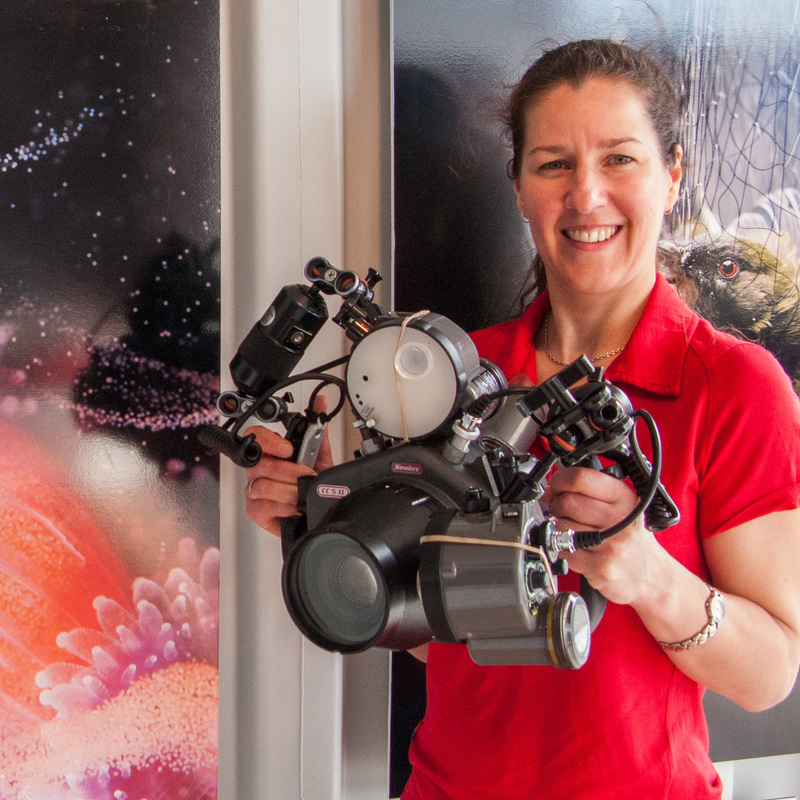 Award winning underwater photographer Alison Perkins