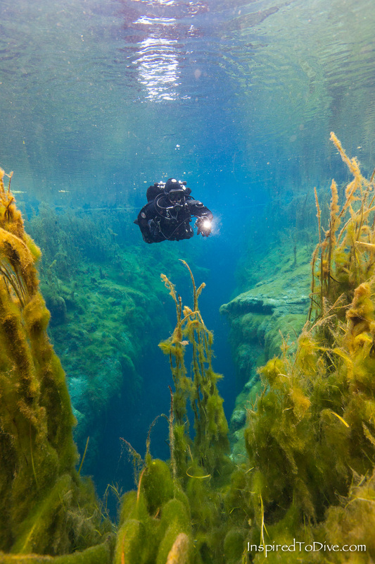 Scuba diver suspended above The Chasm in Piccaninnie Ponds Conservation Park