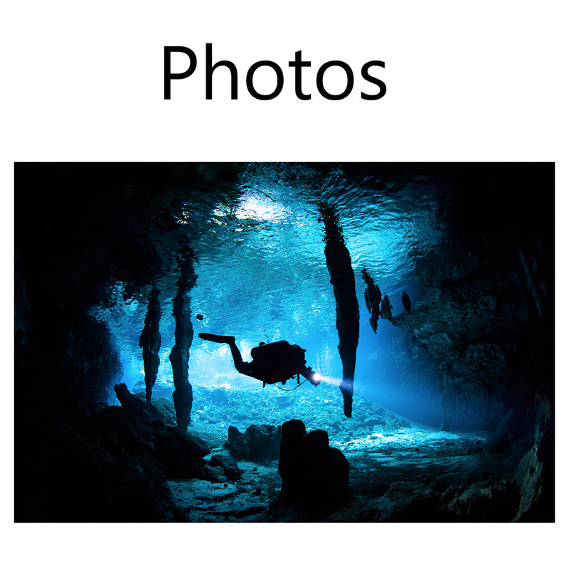 Gallery of underwater photos from underwater photographer Alison Perkins